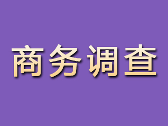 沁阳商务调查